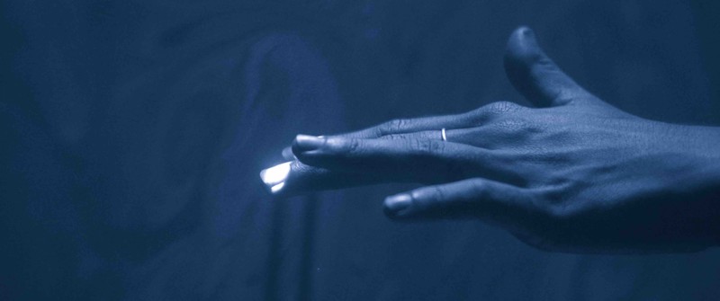 COGNITIVE DISSONANCE short film, audience reactions