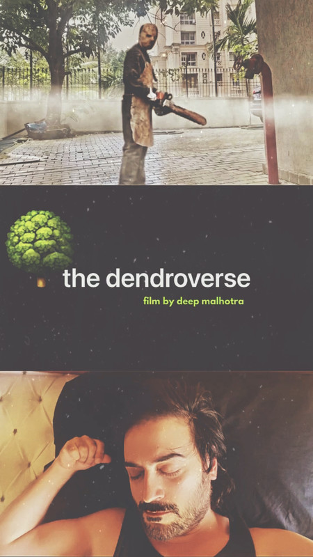 THE DENDROVERSE short film, audience reactions (director interview)