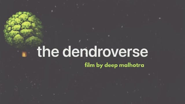 THE DENDROVERSE short film, audience ...
