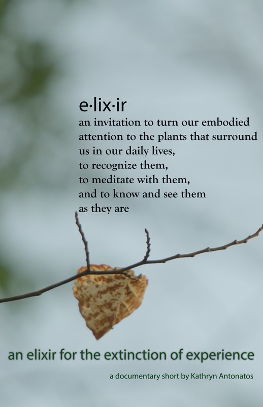 an elixir for the extinction of experience audience talk (director interview)