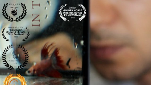 IN THE TANK short film, audience reac...