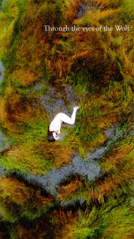 THROUGH THE EYES OF THE WOLF short film, audience reactions