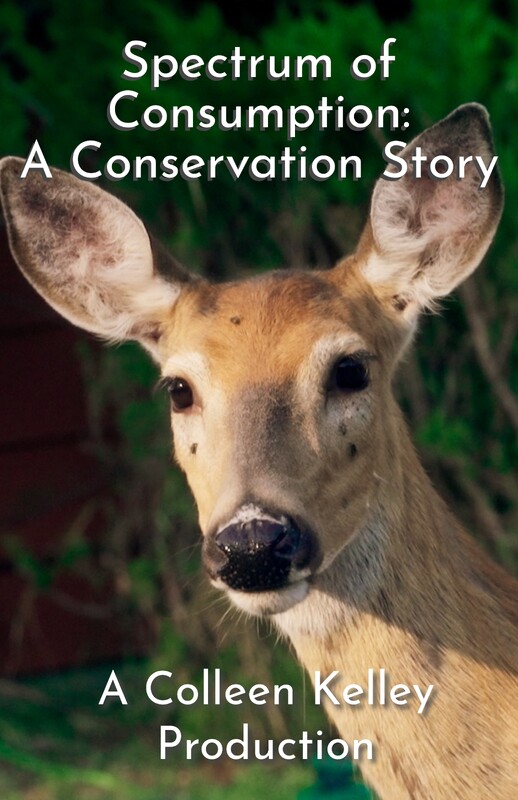 DOCUMENTARY Shorts Festival. Jan 3/4 event