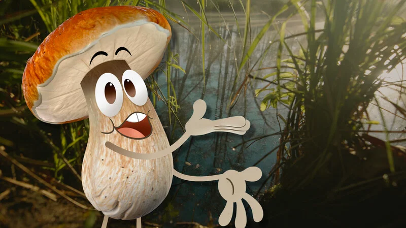 SWAMPS, 1min., Canada, Animation/Family