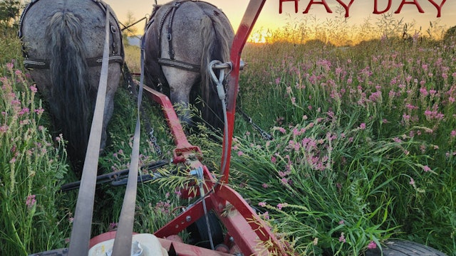 Short Film Trailer: HAY DAY. Directed by Lindsey Hefter