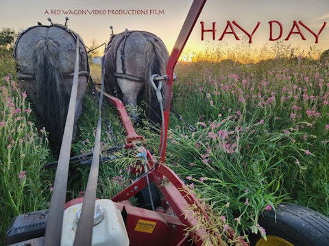 Short Film Trailer: HAY DAY. Directed by Lindsey Hefter