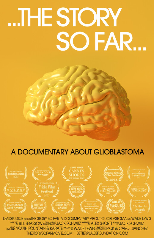 THE STORY SO FAR short film, audience reactions (interview)