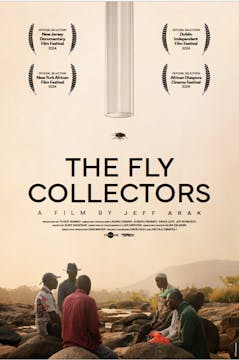 THE FLY COLLECTORS short film, reacti...