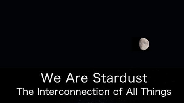 Short Film Trailer: WE ARE STARDUST: THE INTERCONNECTION OF ALL THINGS