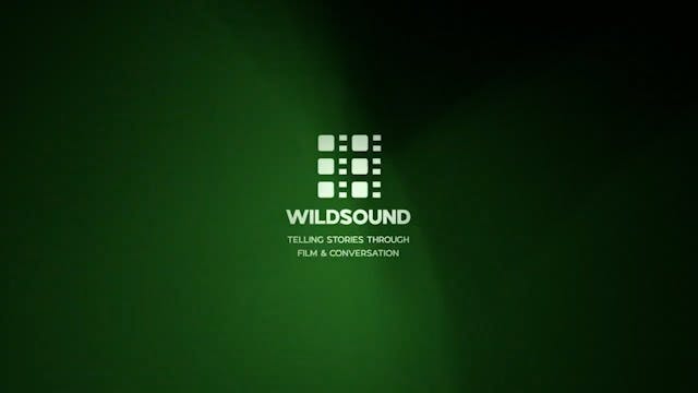 AUDIENCE FEEDBACK - THE HUNTED