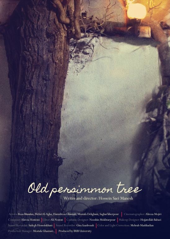 THE PERSIMMON TREE short film, audience reactions