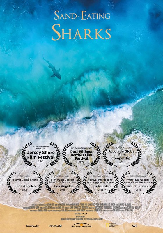 THE SAND EATING SHARK feature film, audience reactions