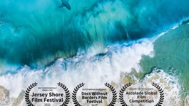 THE SAND EATING SHARK feature film, a...
