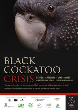 BLACK COCKATOO CRISIS - Environmental...