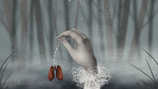 LUNGS short film, reactions HORROR Un...