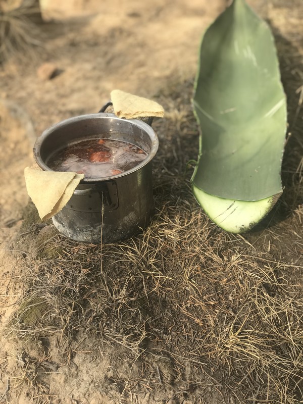 Food as Resistance short film, audience reactions (director interview)