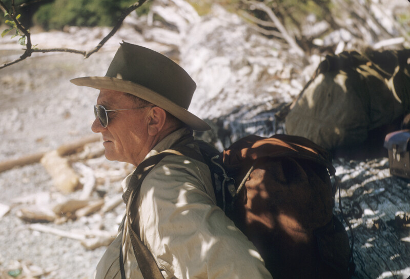 THE ENVIRONMENTAL JUSTICE, reactions ENVIRONMENTAL Festival (Interview)