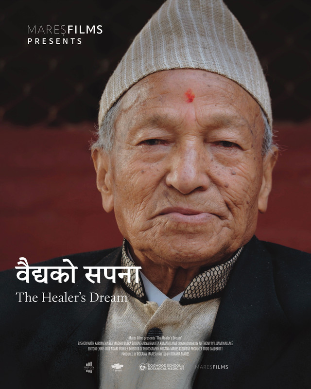 THE HEALERS DREAM short film, audience reactions (director interview)