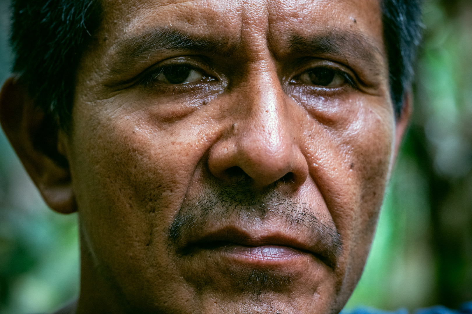 Watch Shiringa: Amazon white gold, 9min., Peru, Documentary/Environmental