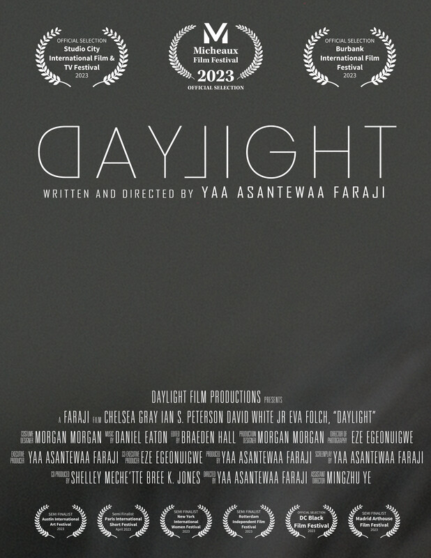 DAYLIGHT short film, reactions June 2024 DANCE Festival