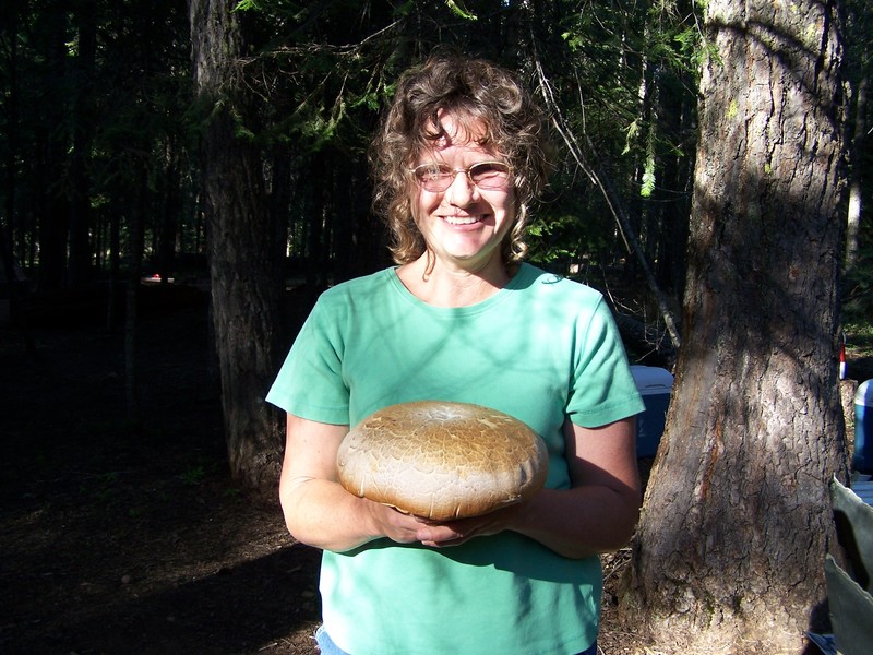 Forest Under Stress Short Film, Audience Feedback July 2022 ENVIRONMENTAL Fest