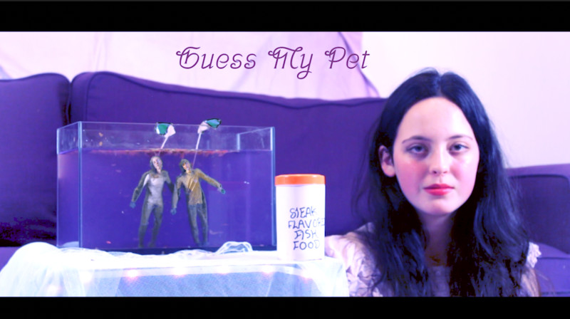GUESS MY PET? short film, audience reactions (director interview)