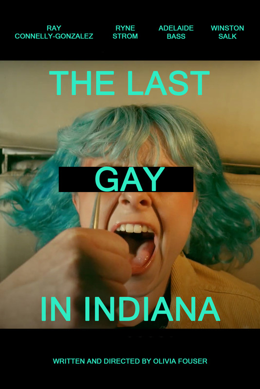 The Last Gay in Indiana short film, audience reactions (director interview)