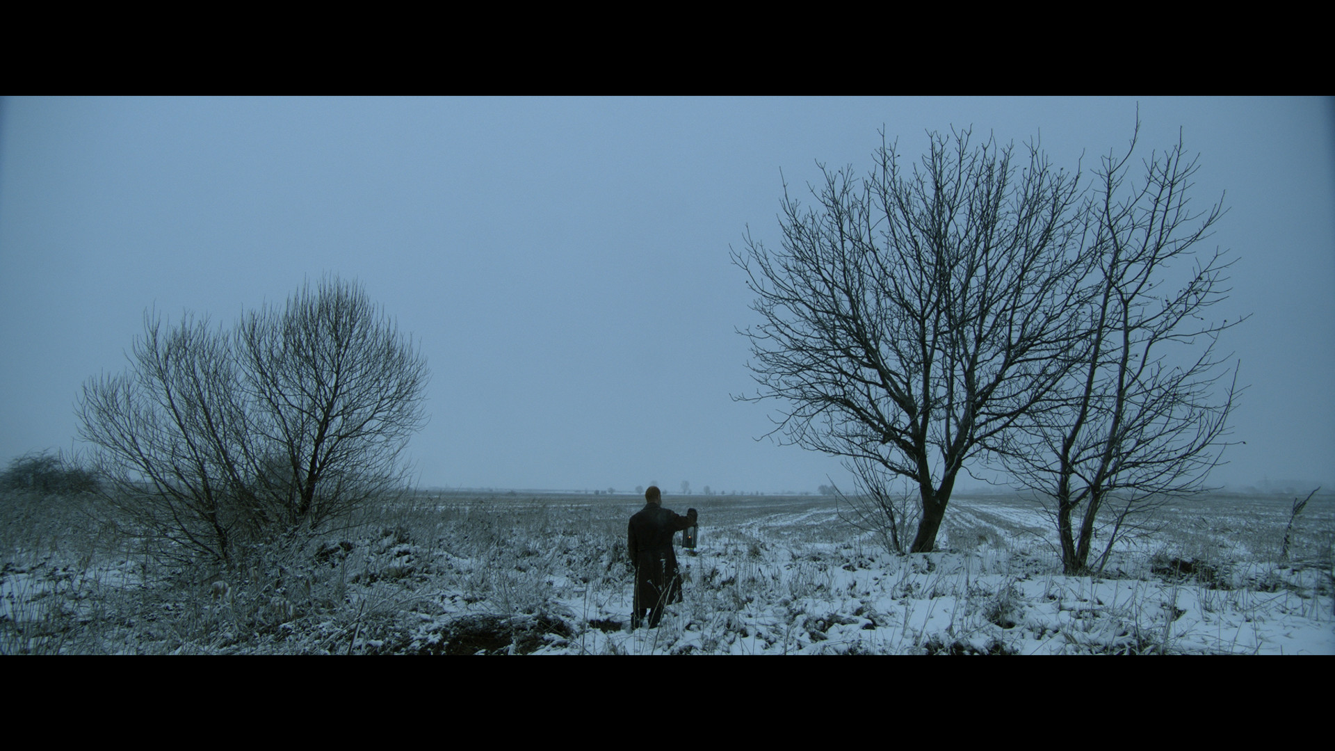 Stoyan feature film, audience reactions