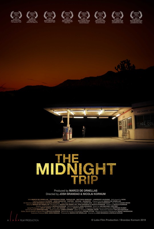 THE MIDNIGHT TRIP short film, 7min., USA, Experimental/Drama