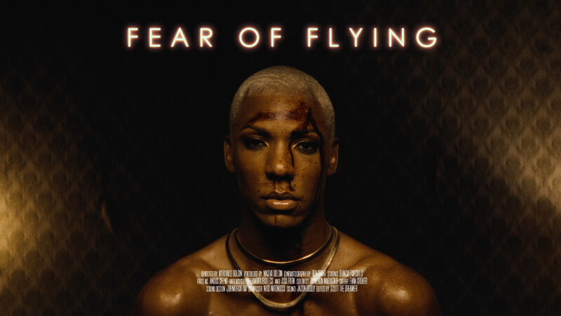 FEAR OF FLYING short film, audience reactions