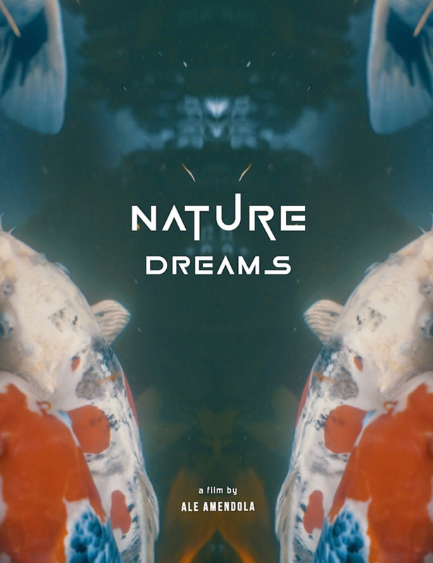 NATURE DREAMS short film, audience reactions (with director interview)