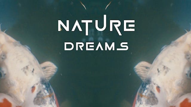 NATURE DREAMS short film, audience re...