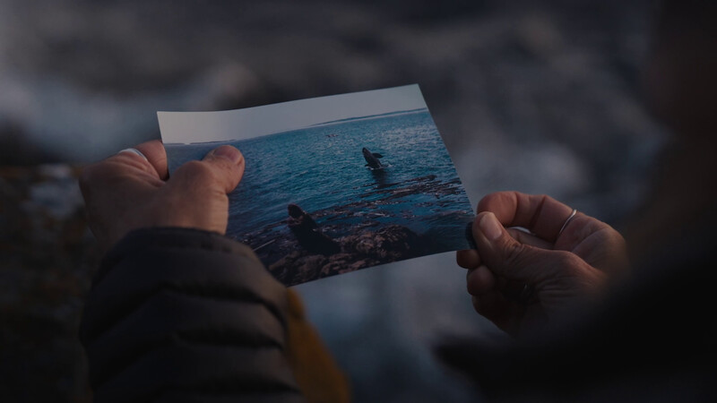 Watch the Best of ENVIRONMENTAL Shorts Film Festival