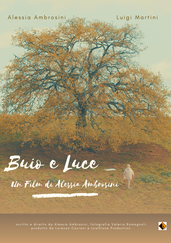 DARKNESS AND LIGHT short film, audience feedback Toronto Female Fest (interview)