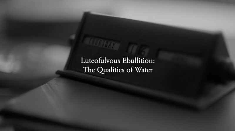 Luteofulvous Ebullition: The Qualities of Water short film review