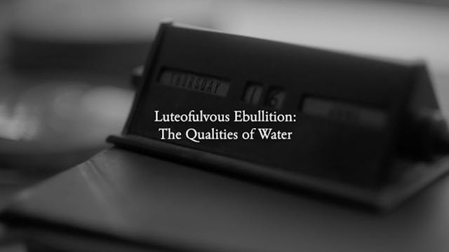 Luteofulvous Ebullition: The Qualitie...