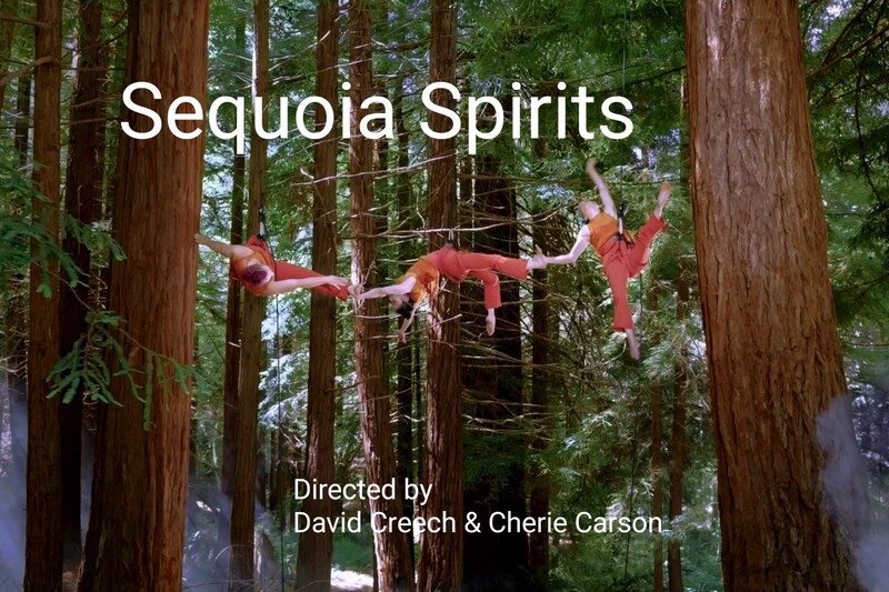 DANCE Festival - Nov. 19/20 event