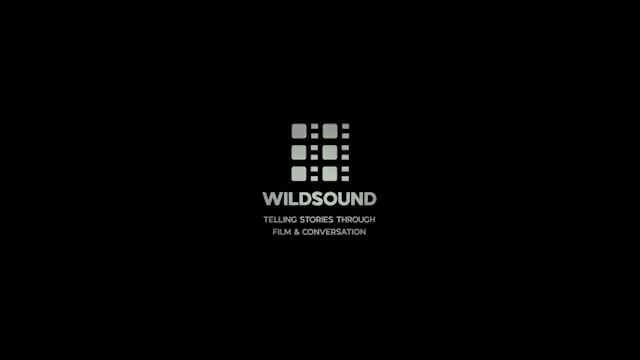BODY OF WORK film, reactions WILDsoun...
