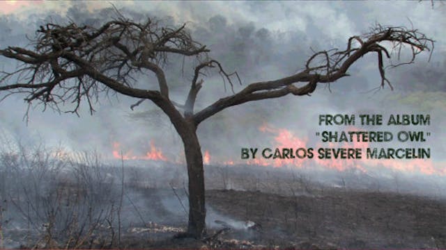 IN THE STREAM OF CONSCIOUSNESS short ...