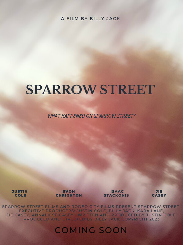 SPARROW STREET feature film. Horror Festival. Nov. 21/22 event