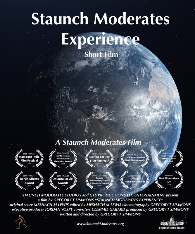 STAUNCH MODERATES EXPERIENCE feature film, reactions DOC Festival (interview)