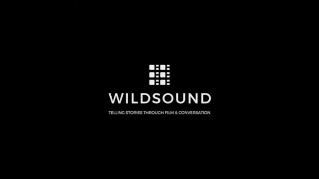 NYCTOPHOBIA film, reactions WILDsound...