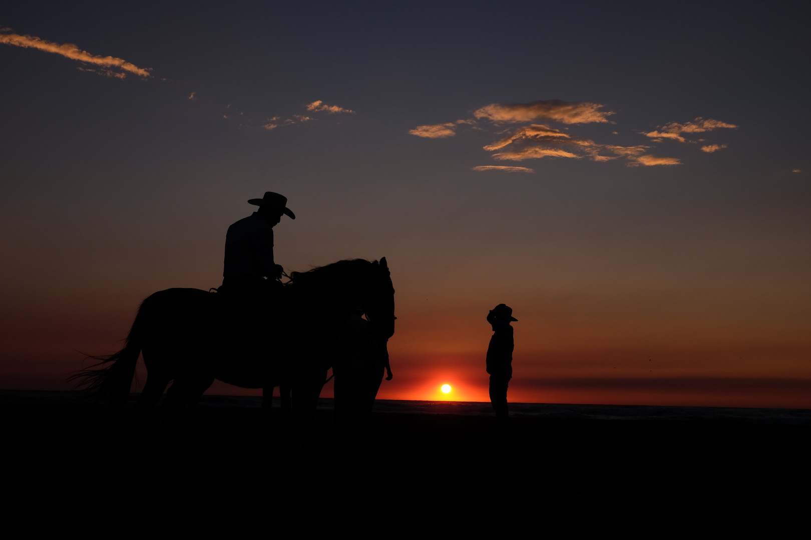 IGUANA LIKE THE SUN - LGBTQ+ Feature Film - March 3/4 event