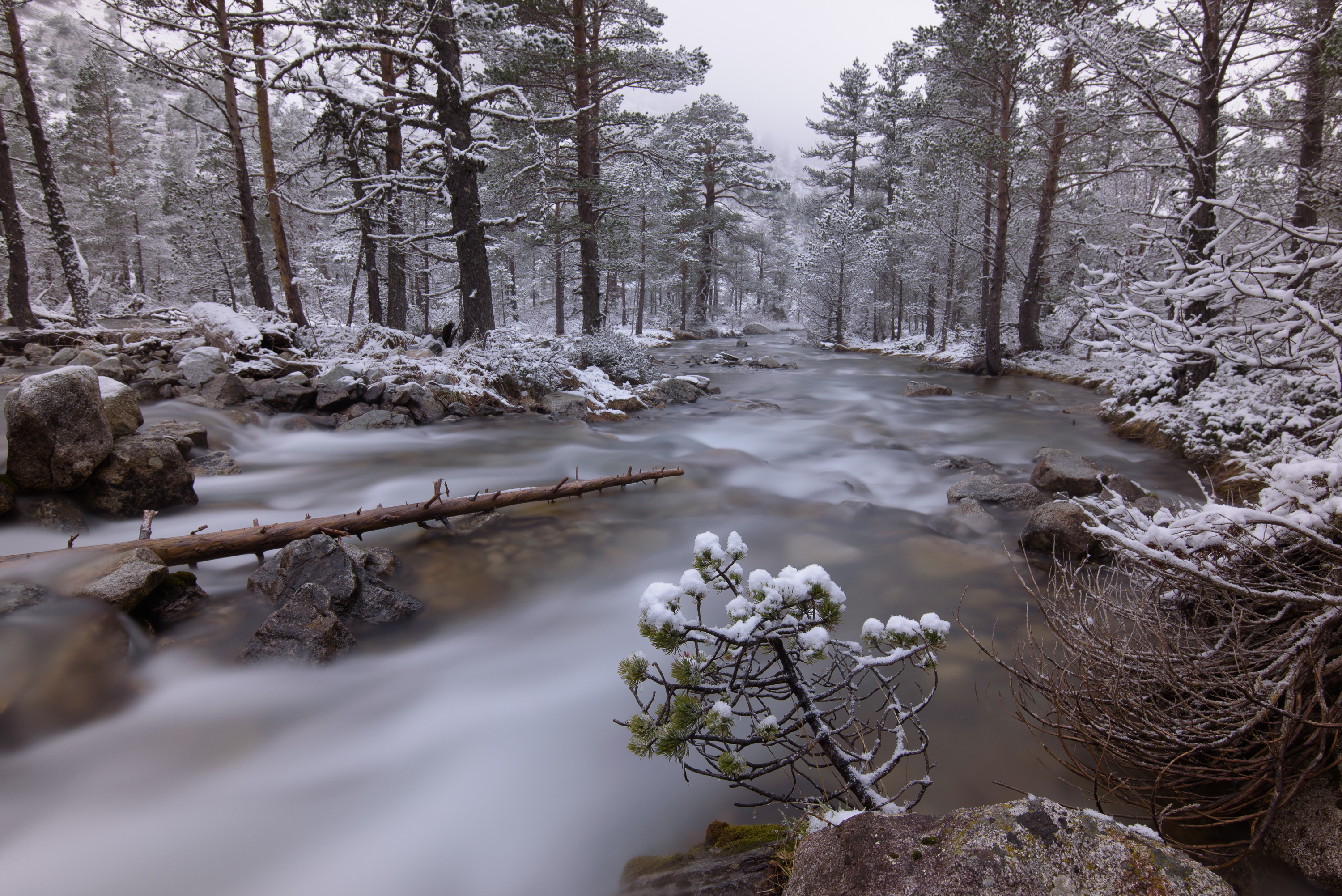 Wild Pyrénées short film, audience reactions