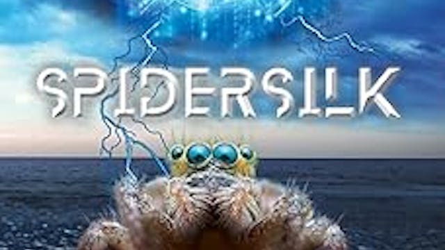 BEST Scene Reading: SPIDERSILK, by Ak...