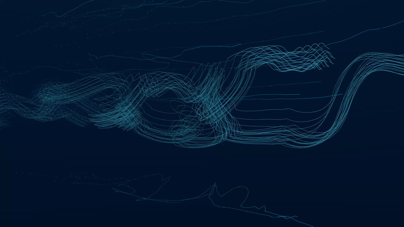 AN ARCHIVE OF MOVEMENTS short film, audience reactions