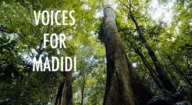 Short Film Trailer: Voices for Madidi...