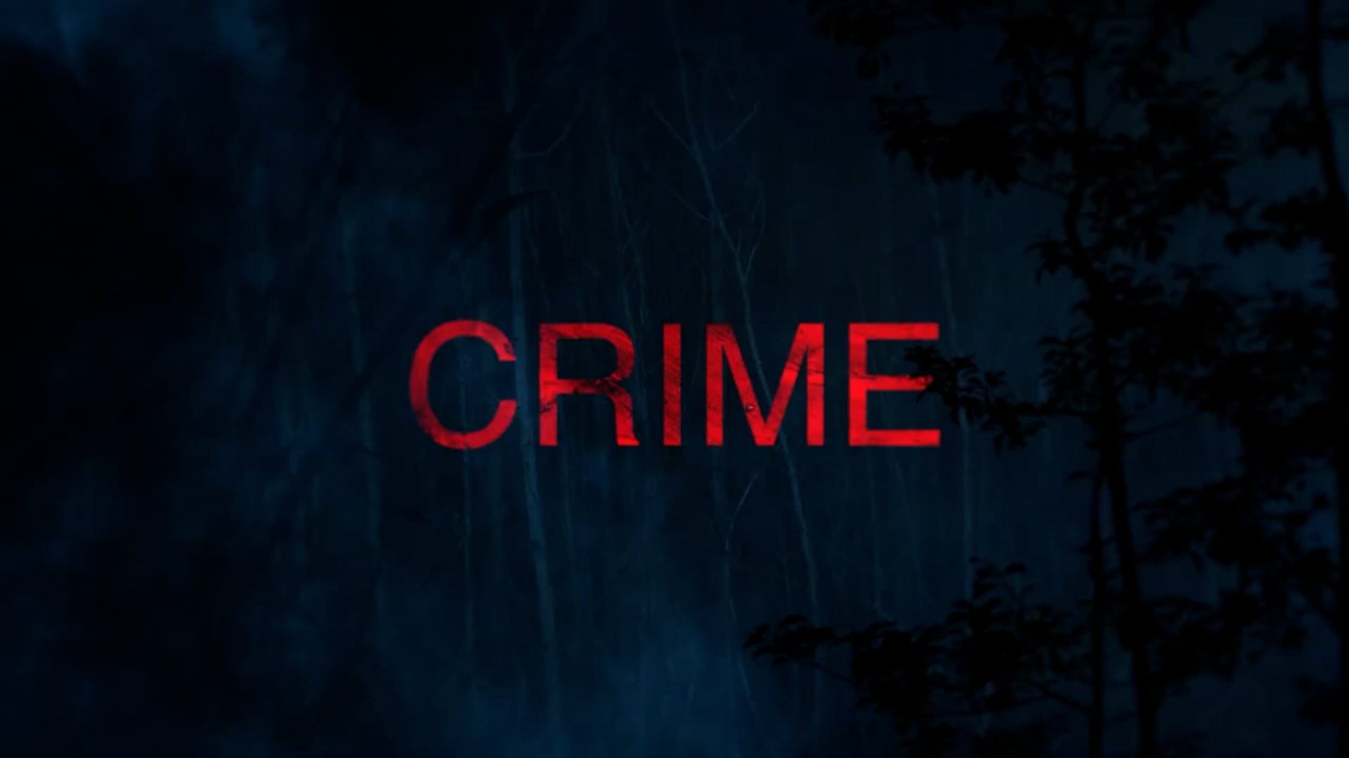 MOVIE TRAILERS Festival February 2025 