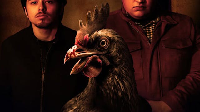 POLLO LOCO short film review (interview)