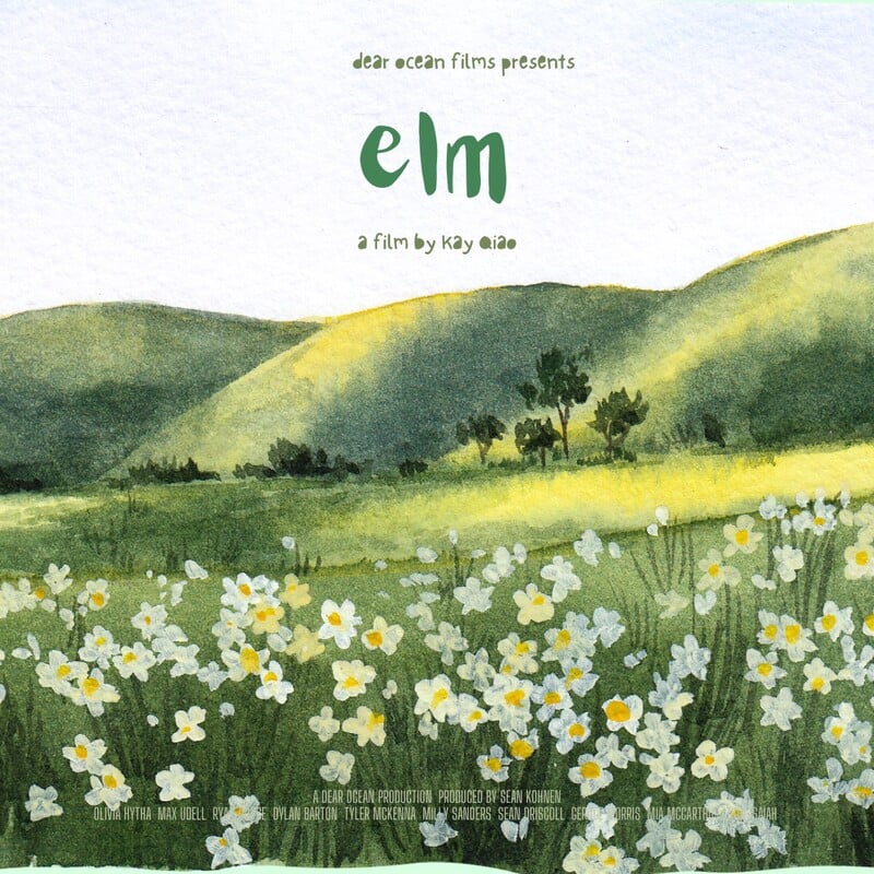 ELM short film, reactions April 2024 DANCE Film Festival